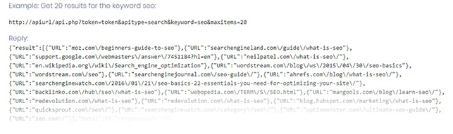 SEO API request and reply example